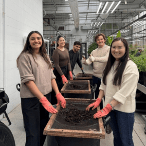 Five people standing at a table with dirt inside a greenhouse, wearing rubber gloves.